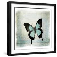 Floating Butterfly III-Debra Van Swearingen-Framed Art Print