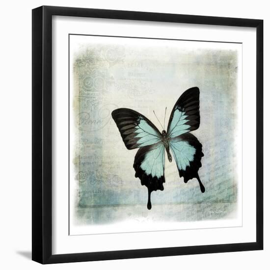 Floating Butterfly III-Debra Van Swearingen-Framed Art Print