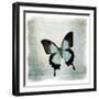 Floating Butterfly III-Debra Van Swearingen-Framed Art Print