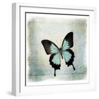 Floating Butterfly III-Debra Van Swearingen-Framed Art Print