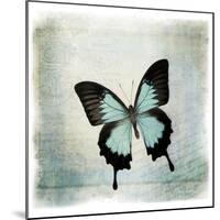 Floating Butterfly III-Debra Van Swearingen-Mounted Art Print