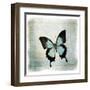 Floating Butterfly III-Debra Van Swearingen-Framed Art Print