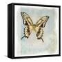 Floating Butterfly V-Debra Van Swearingen-Framed Stretched Canvas