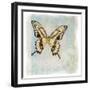 Floating Butterfly V-Debra Van Swearingen-Framed Art Print