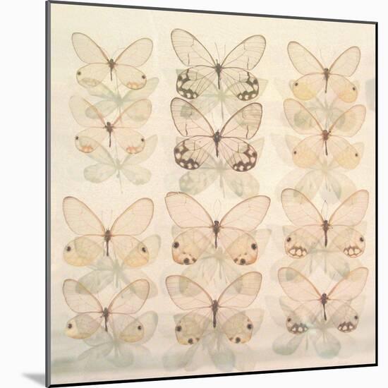 Floating Butterfly-Katja Marzahn-Mounted Giclee Print