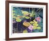 Floating Colors-Tom Swimm-Framed Giclee Print