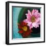 Floating Dreams I-Tony Koukos-Framed Giclee Print