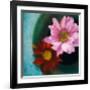 Floating Dreams I-Tony Koukos-Framed Giclee Print