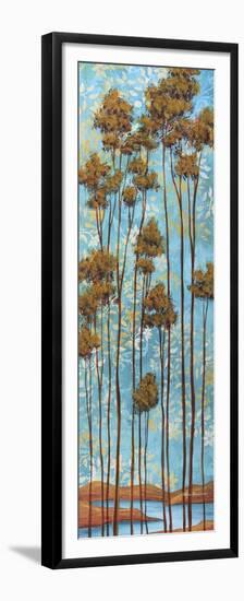 Floating Dreams II-Megan Aroon Duncanson-Framed Premium Giclee Print