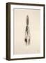 Floating Feathers I Sepia-Nathan Larson-Framed Photographic Print