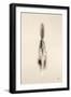 Floating Feathers I Sepia-Nathan Larson-Framed Photographic Print