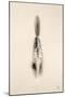 Floating Feathers I Sepia-Nathan Larson-Mounted Photographic Print