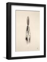 Floating Feathers I Sepia-Nathan Larson-Framed Photographic Print