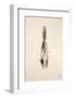 Floating Feathers I Sepia-Nathan Larson-Framed Photographic Print