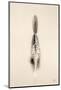 Floating Feathers I Sepia-Nathan Larson-Mounted Photographic Print