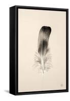 Floating Feathers IV Sepia-Nathan Larson-Framed Stretched Canvas