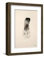 Floating Feathers IV Sepia-Nathan Larson-Framed Photographic Print