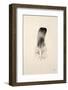 Floating Feathers IV Sepia-Nathan Larson-Framed Photographic Print