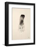 Floating Feathers IV Sepia-Nathan Larson-Framed Photographic Print