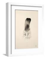 Floating Feathers IV Sepia-Nathan Larson-Framed Photographic Print