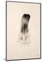 Floating Feathers IV Sepia-Nathan Larson-Mounted Photographic Print