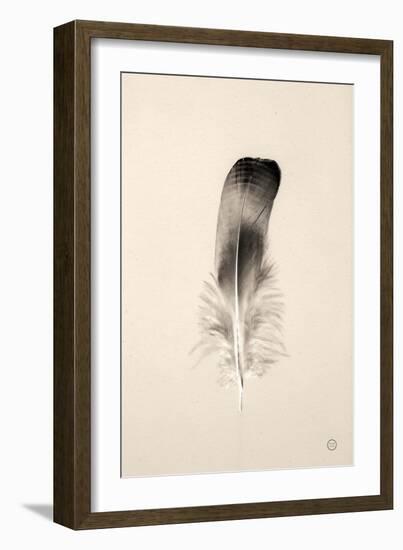 Floating Feathers IV Sepia-Nathan Larson-Framed Photographic Print