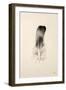 Floating Feathers IV Sepia-Nathan Larson-Framed Photographic Print