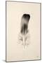 Floating Feathers IV Sepia-Nathan Larson-Mounted Photographic Print