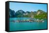 Floating Fishing Village in Halong Bay-photoroman-Framed Stretched Canvas