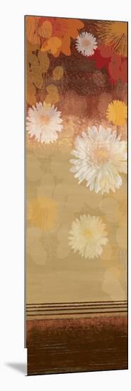 Floating Florals II-Andrew Michaels-Mounted Art Print