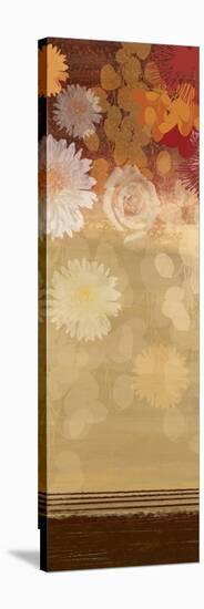 Floating Florals II-Andrew Michaels-Stretched Canvas