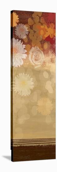 Floating Florals II-Andrew Michaels-Stretched Canvas