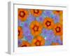 Floating Flowers in Glass Bowl, Blue Ageratum and Orange Blooms, Sammamish, Washington, USA-Darrell Gulin-Framed Photographic Print