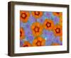 Floating Flowers in Glass Bowl, Blue Ageratum and Orange Blooms, Sammamish, Washington, USA-Darrell Gulin-Framed Photographic Print