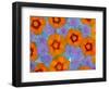 Floating Flowers in Glass Bowl, Blue Ageratum and Orange Blooms, Sammamish, Washington, USA-Darrell Gulin-Framed Photographic Print