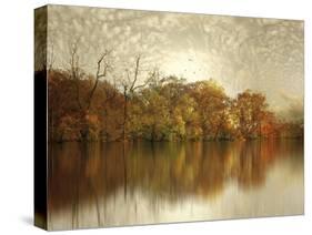 Floating Foliage-Jessica Jenney-Stretched Canvas