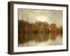 Floating Foliage-Jessica Jenney-Framed Giclee Print