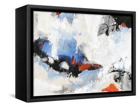 Floating Free-Joshua Schicker-Framed Stretched Canvas