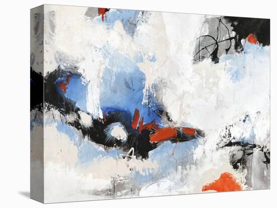 Floating Free-Joshua Schicker-Stretched Canvas