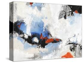 Floating Free-Joshua Schicker-Stretched Canvas