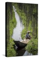 Floating Gardens, Inle Lake, Shan State, Myanmar (Burma), Asia-Matthew Williams-Ellis-Stretched Canvas