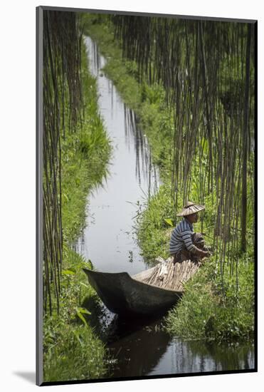 Floating Gardens, Inle Lake, Shan State, Myanmar (Burma), Asia-Matthew Williams-Ellis-Mounted Photographic Print