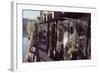 Floating-Home Owner Warren Owen Fonslor Waters the Plants on His Deck, Sausalito, CA, 1971-Michael Rougier-Framed Photographic Print