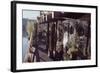 Floating-Home Owner Warren Owen Fonslor Waters the Plants on His Deck, Sausalito, CA, 1971-Michael Rougier-Framed Photographic Print