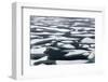 Floating ice in Chukchi Sea, Russian Far East-Keren Su-Framed Photographic Print