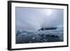 Floating Ice Mountains and Coastline Neko Harbour Antarctic Peninsula Antarctica-Renato Granieri-Framed Photographic Print