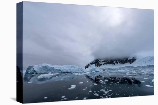 Floating Ice Mountains and Coastline Neko Harbour Antarctic Peninsula Antarctica-Renato Granieri-Stretched Canvas