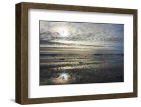 Floating ice on South Atlantic Ocean, Antarctica-Keren Su-Framed Photographic Print