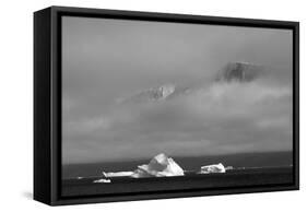 Floating iceberg in the ocean, Greenland-Keren Su-Framed Stretched Canvas