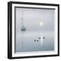 Floating in My Dreams!-Adrian Campfield-Framed Photographic Print